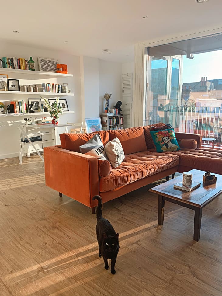 Velvet sofa deals orange